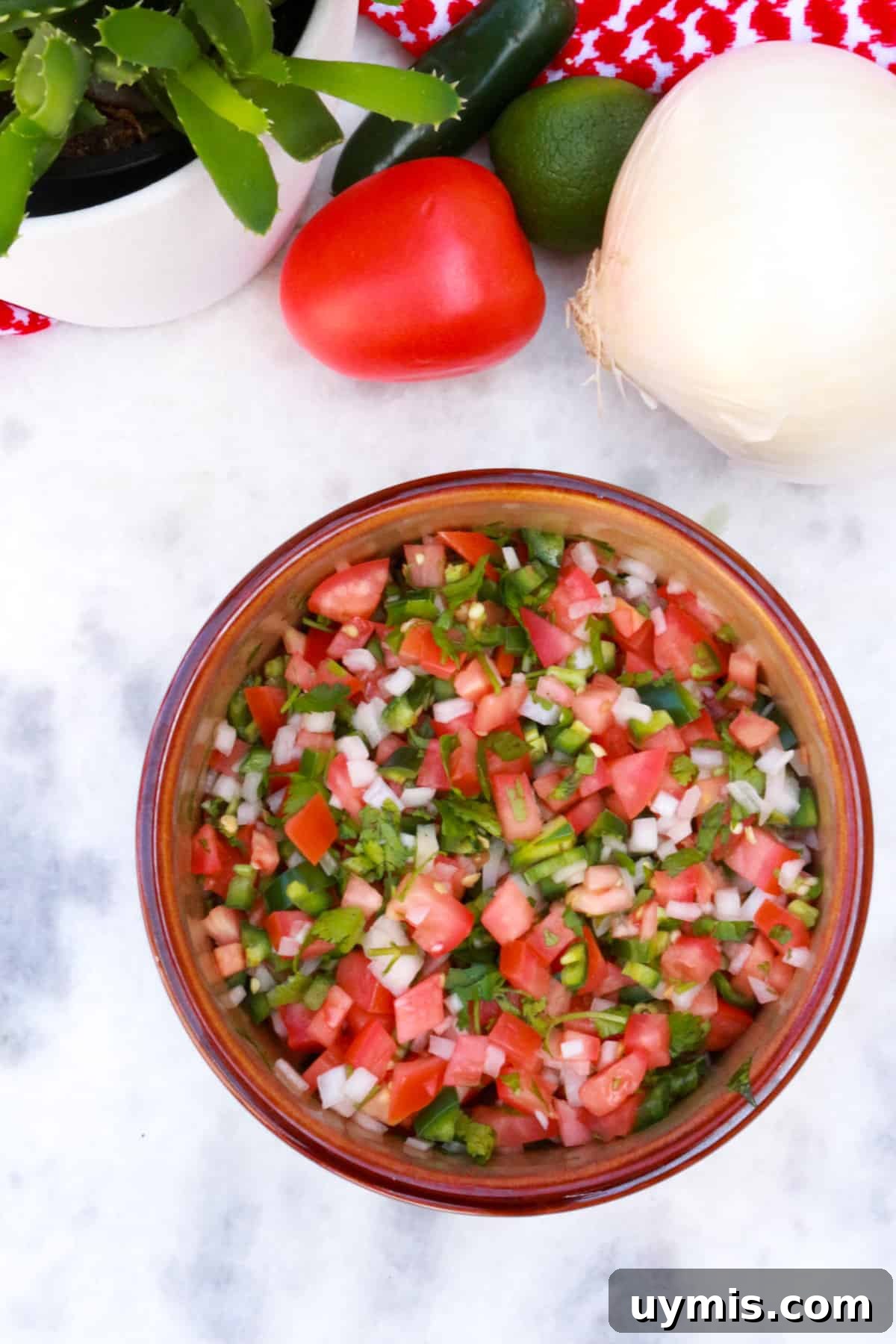 Fresh Salsa Bandera: Authentic Pico de Gallo Recipe 9 Bowl of salsa bandera with a plant, tomato, lime, onion and jalapeño in the background