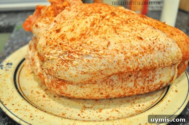 Seasoned Turkey Breast Dry rub spices applied to a turkey breast before cooking on the grill
