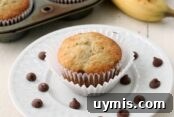 Pumpkin Chocolate Chip Cookies Made with Cake Mix 11 Banana Chocolate Chip Muffins