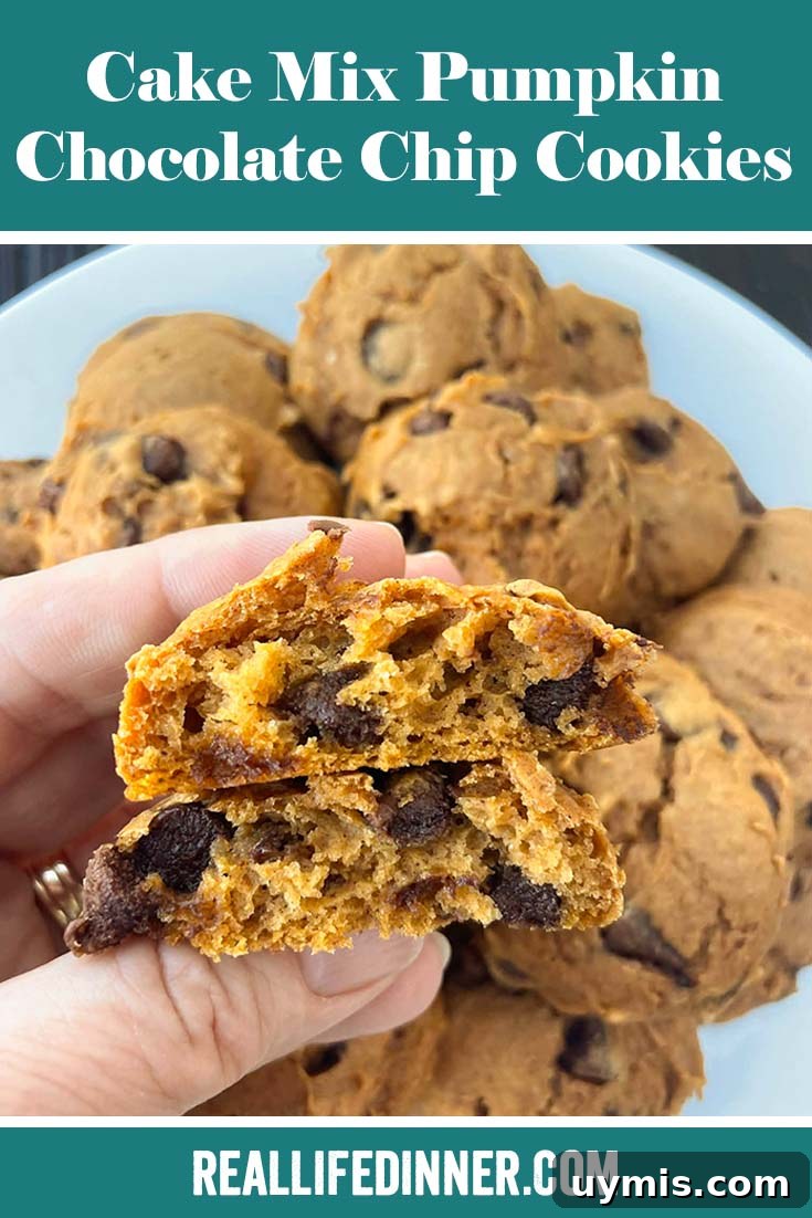 Pumpkin Chocolate Chip Cookies Made with Cake Mix 14 Pinterest picture of Cake Mix Pumpkin Chocolate Chip Cookies with the text of the title at the top.