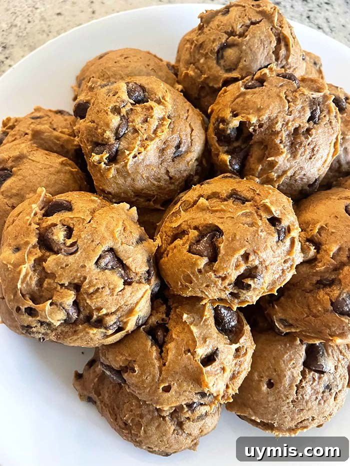 A plate full of chocolate chip pumpkin cookies stacked on each other.
