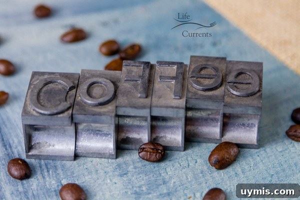 Coffee roast levels displayed with beans