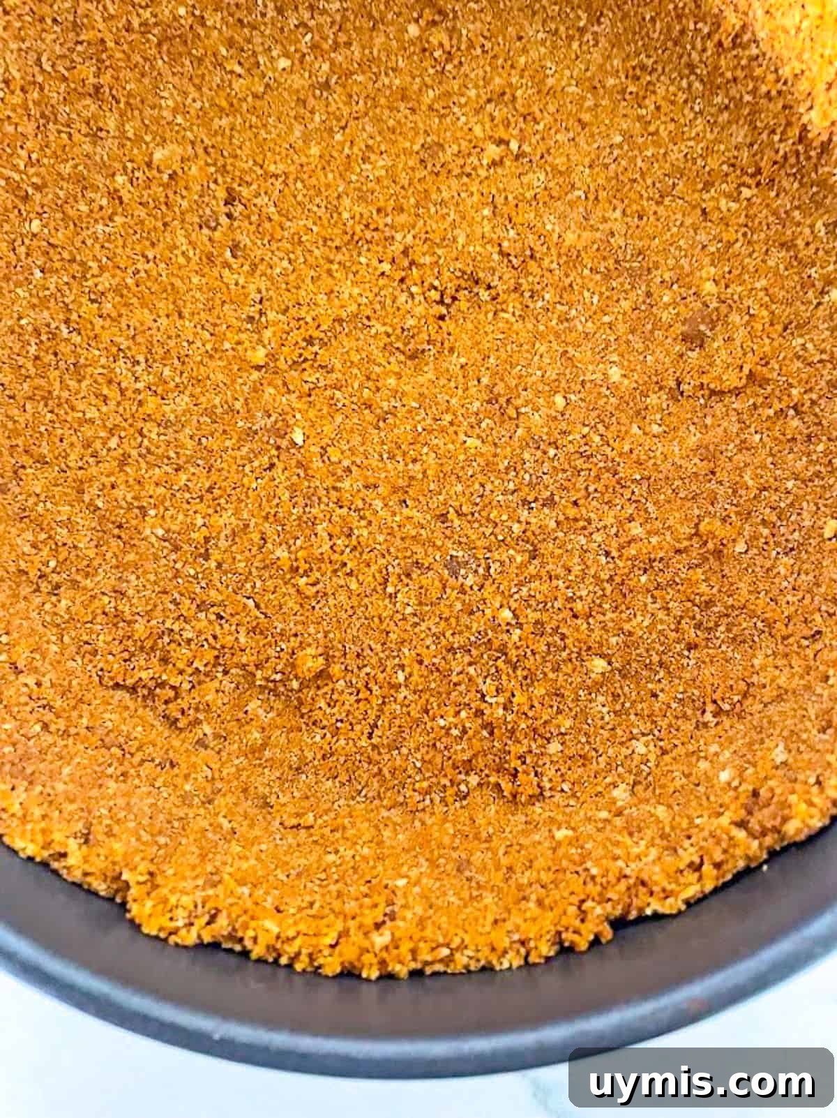 Biscoff Cookie Crust Recipe 3 biscoff cookie crumbs and melted butter