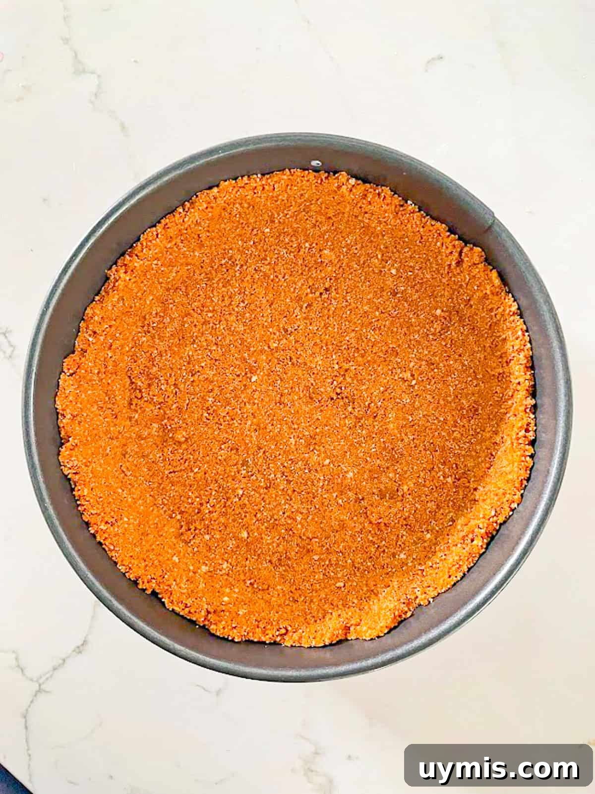 Biscoff Cookie Crust Recipe 5 biscoff pie crust ready to chill