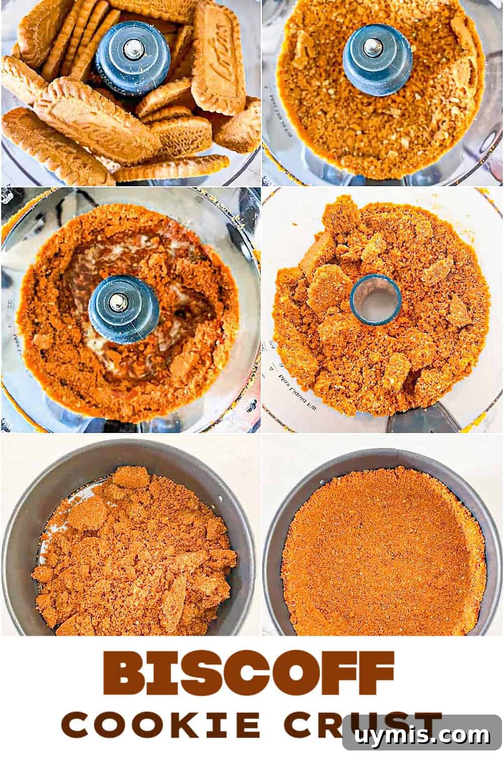 Biscoff Cookie Crust Recipe 7 PIE LAYER