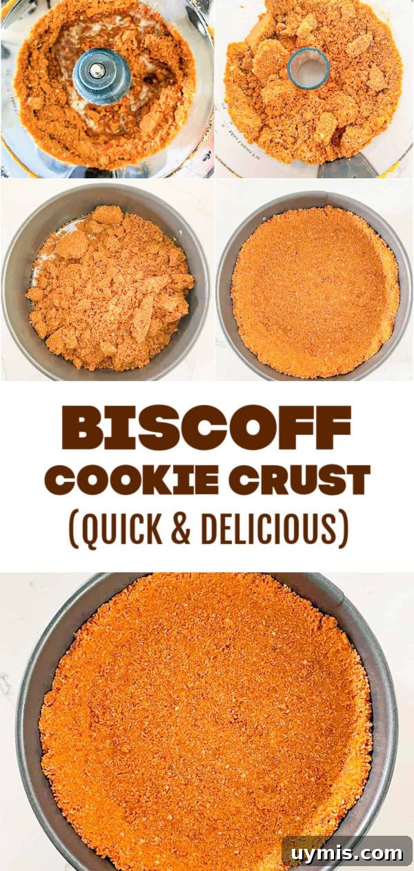 Biscoff Cookie Crust Recipe 8 PIE LAYER
