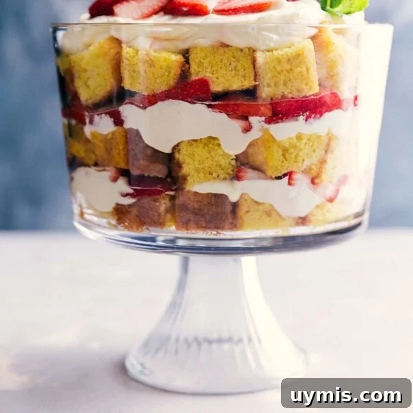 Fresh Strawberry Scones Recipe with Tender Crumb 6 Strawberry shortcake trifle with layers of cake, fresh strawberries, and cream.