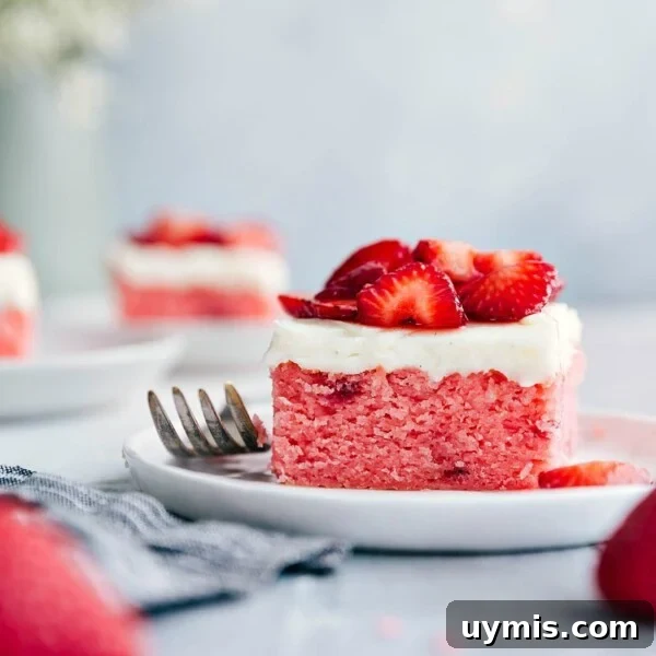 Fresh Strawberry Scones Recipe with Tender Crumb 4 Strawberries and cream cake.