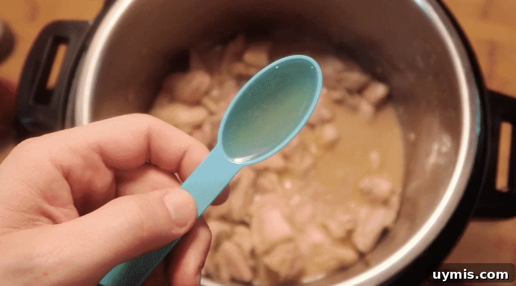 Instant Pot Bourbon Chicken: Mall Food Court Copycat Recipe 8 img 24490 18