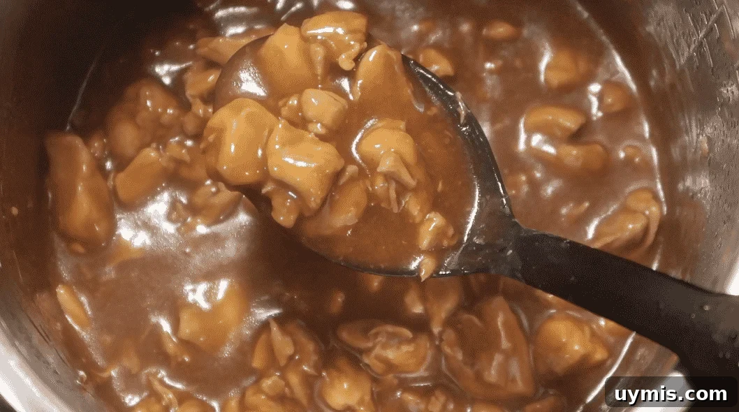 Instant Pot Bourbon Chicken: Mall Food Court Copycat Recipe 11 img 24490 34