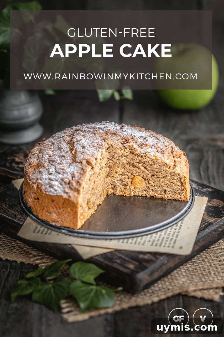 Moist Cinnamon Gluten-Free Apple Cake Recipe 3 img 24800 2