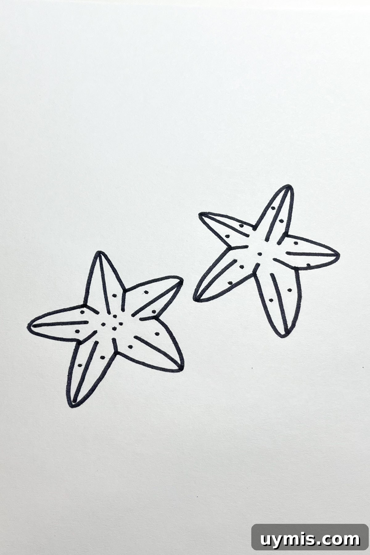 31 Star Drawing Ideas for Creative Sketch Inspiration 16 star fish drawing