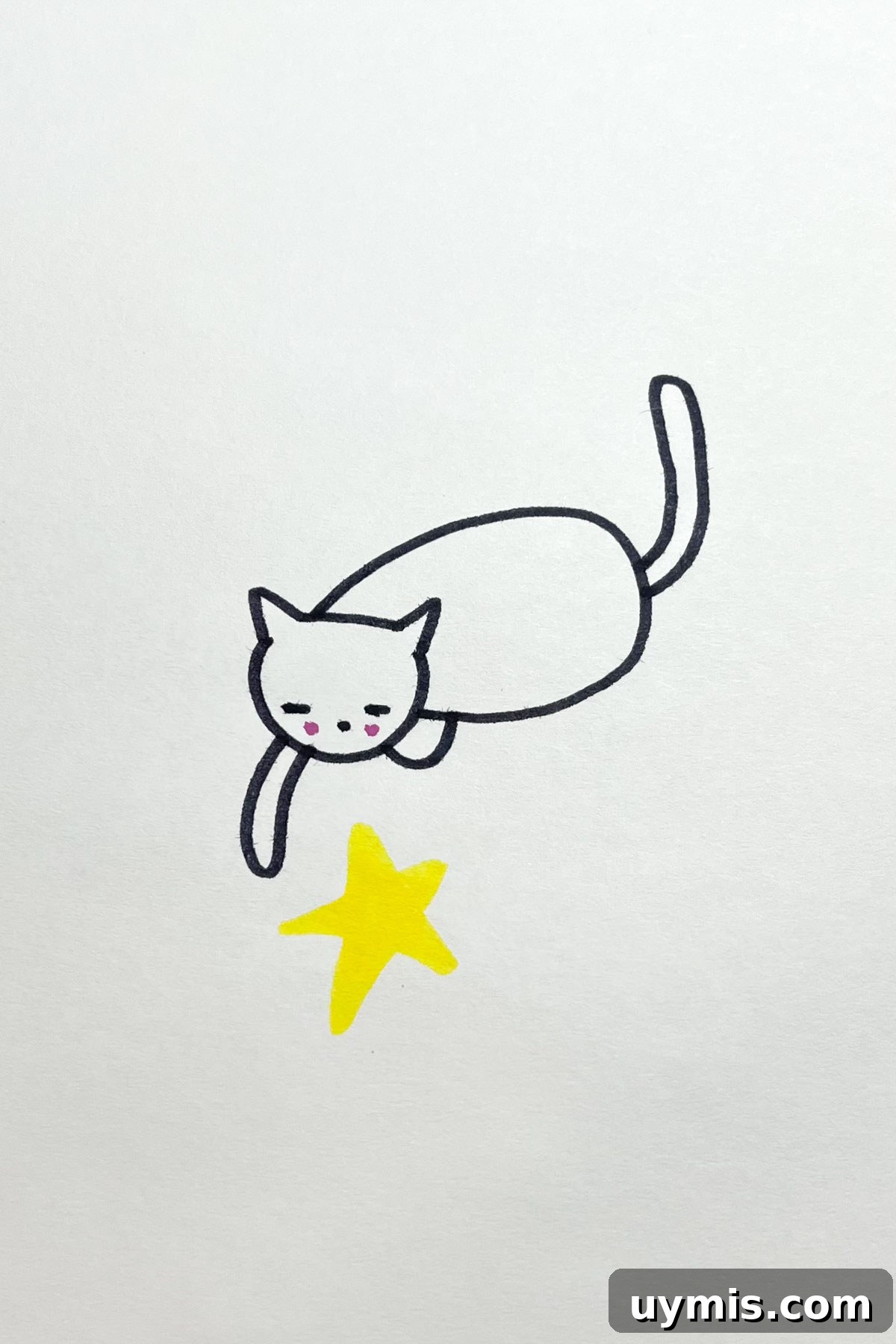 31 Star Drawing Ideas for Creative Sketch Inspiration 19 kitten star drawing