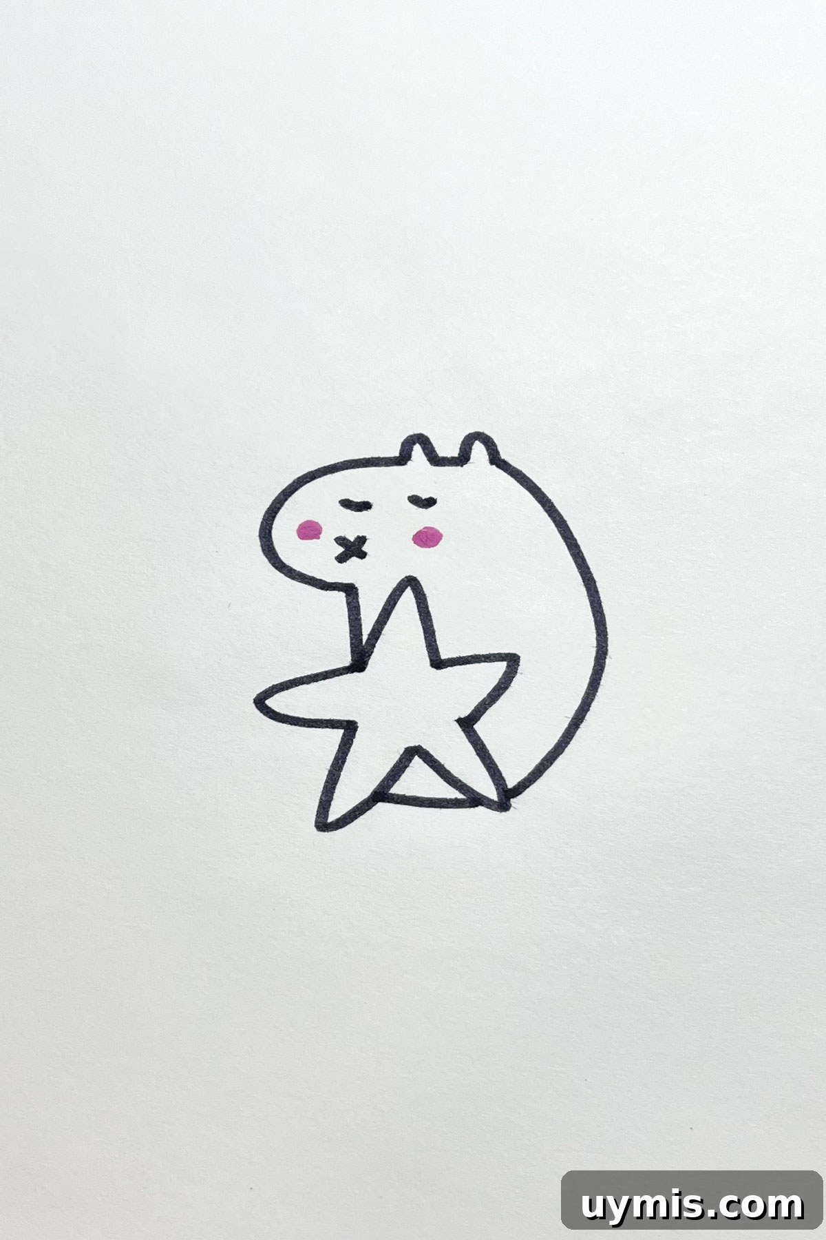 31 Star Drawing Ideas for Creative Sketch Inspiration 20 capybara drawing