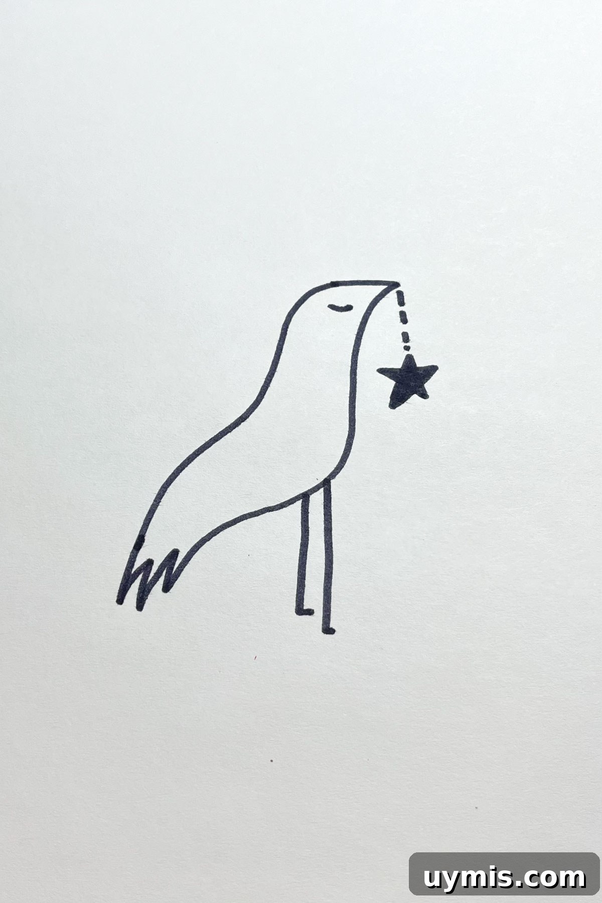 31 Star Drawing Ideas for Creative Sketch Inspiration 22 bird with star drawing