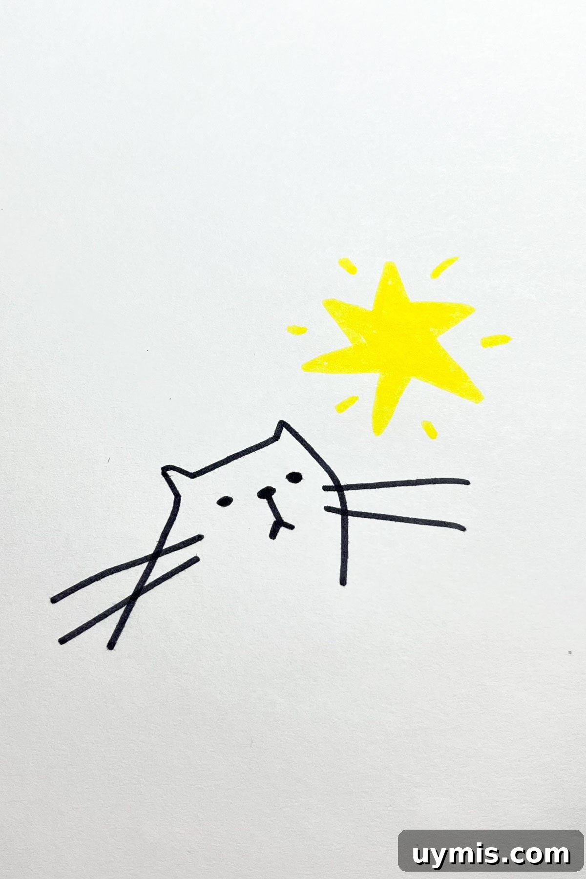 31 Star Drawing Ideas for Creative Sketch Inspiration 23 stargazing cat drawing
