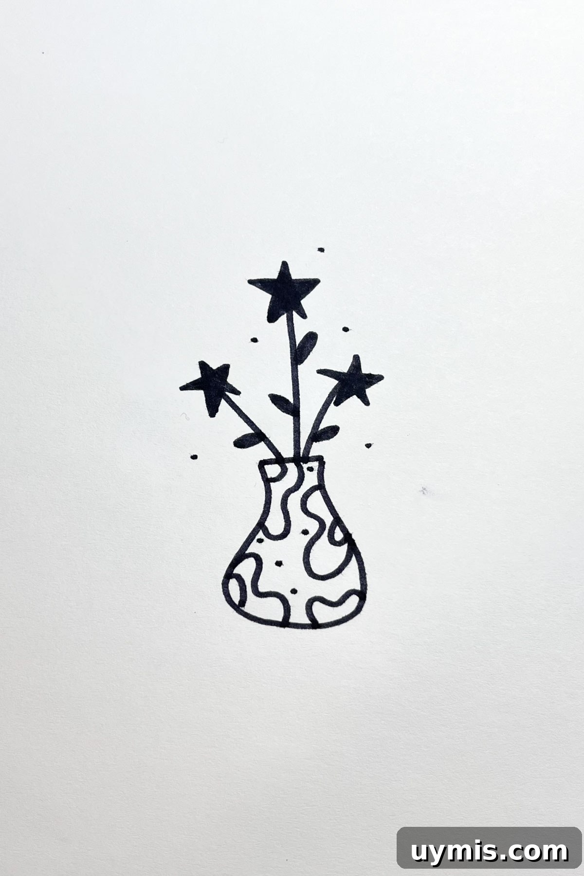 31 Star Drawing Ideas for Creative Sketch Inspiration 28 star bouquet drawing