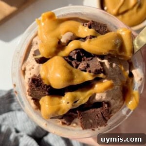 Chocolate Brownie Protein Ice Cream Recipe for the Creami 5 A bowl of chocolate ice cream topped with caramel sauce and chunks of chocolate brownies. A gold spoon is partially visible on the right.