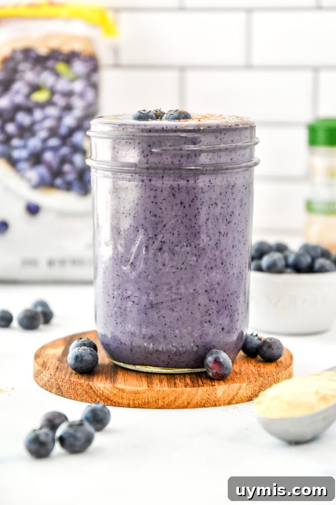 Blueberry Cinnamon Smoothie with Peanut Butter Powder 2 peanut butter powder blueberry cinnamon smoothie with fresh blueberries.