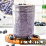 peanut butter powder blueberry cinnamon smoothie with fresh blueberries.