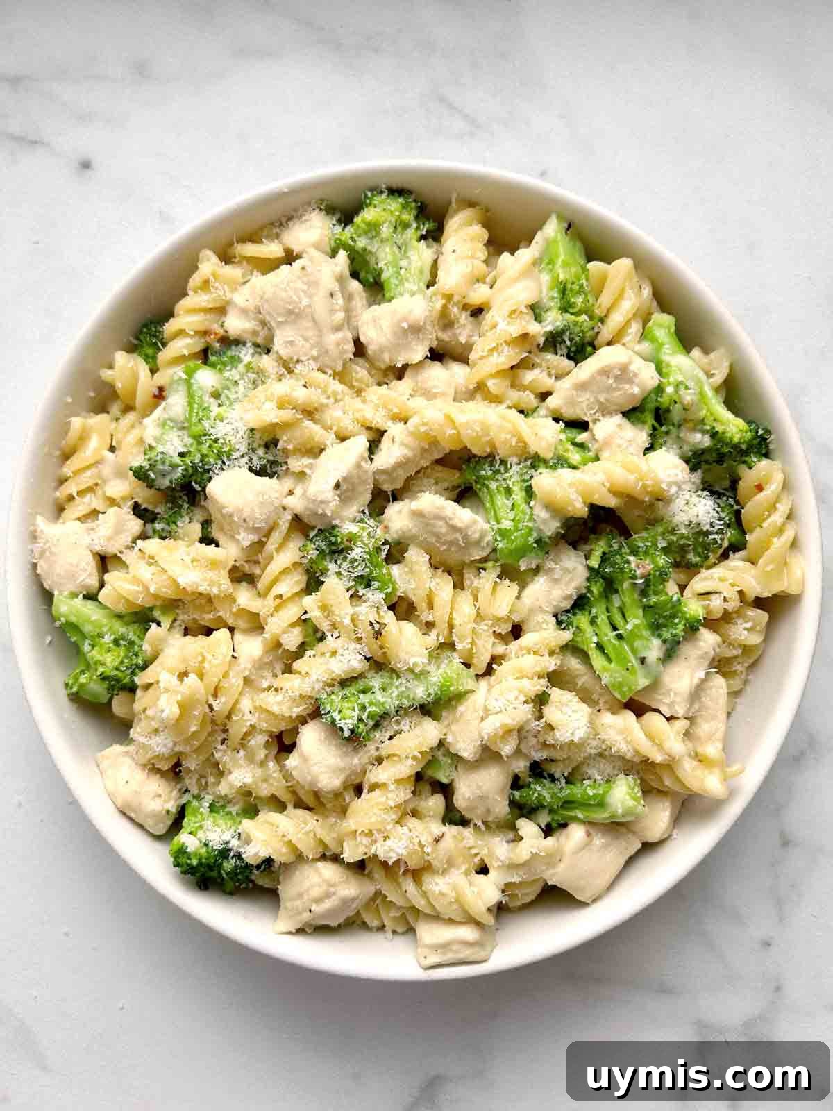 Creamy One Pot Chicken and Broccoli Pasta 2 plate of chicken and broccoli pasta.