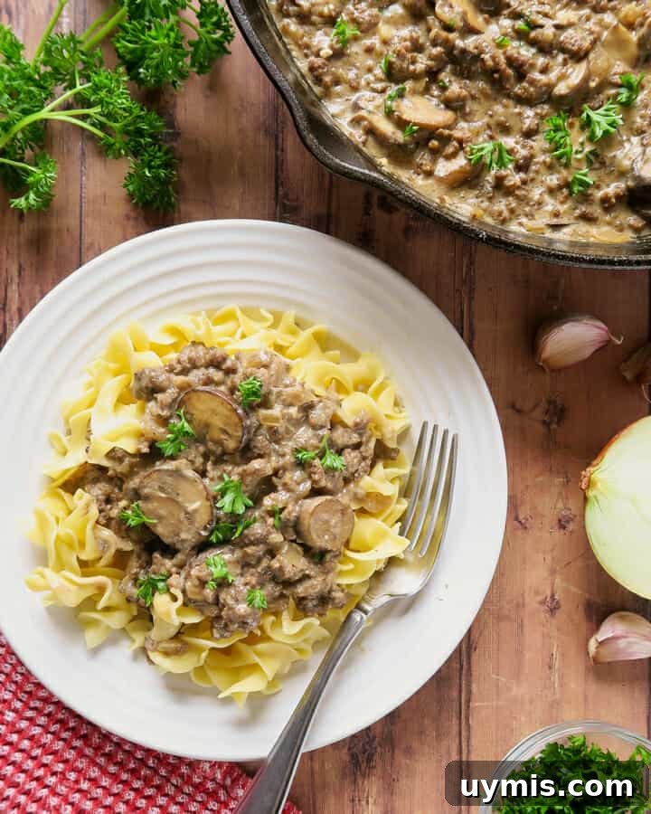 Creamy Ground Beef Stroganoff with Greek Yogurt 2 Ground Beef Stroganoff with Greek Yogurt