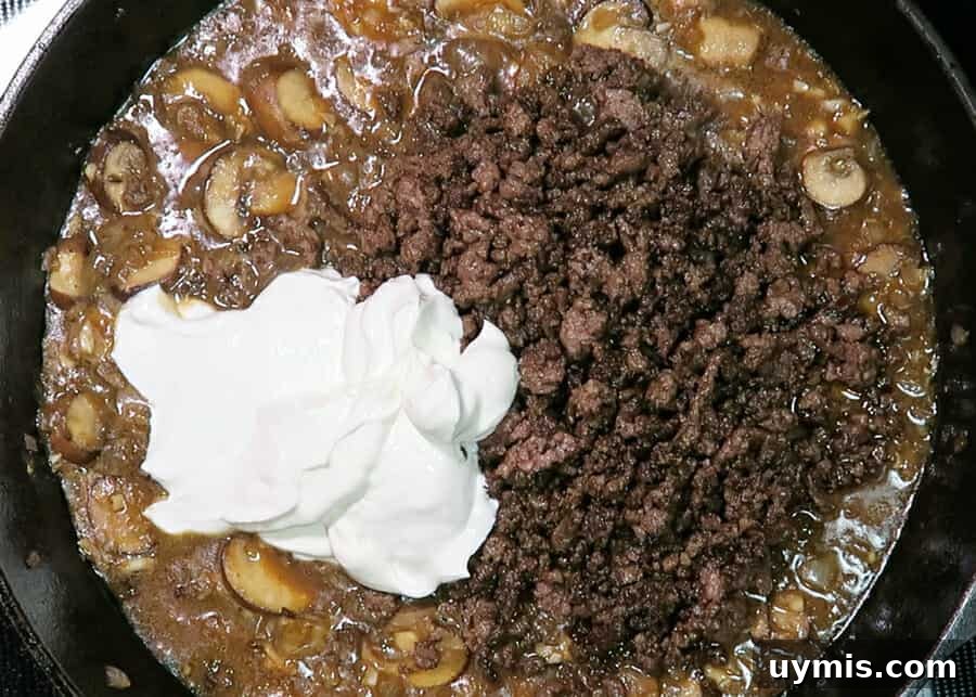 Creamy Ground Beef Stroganoff with Greek Yogurt 12 Greek yogurt stirred into ground beef stroganoff