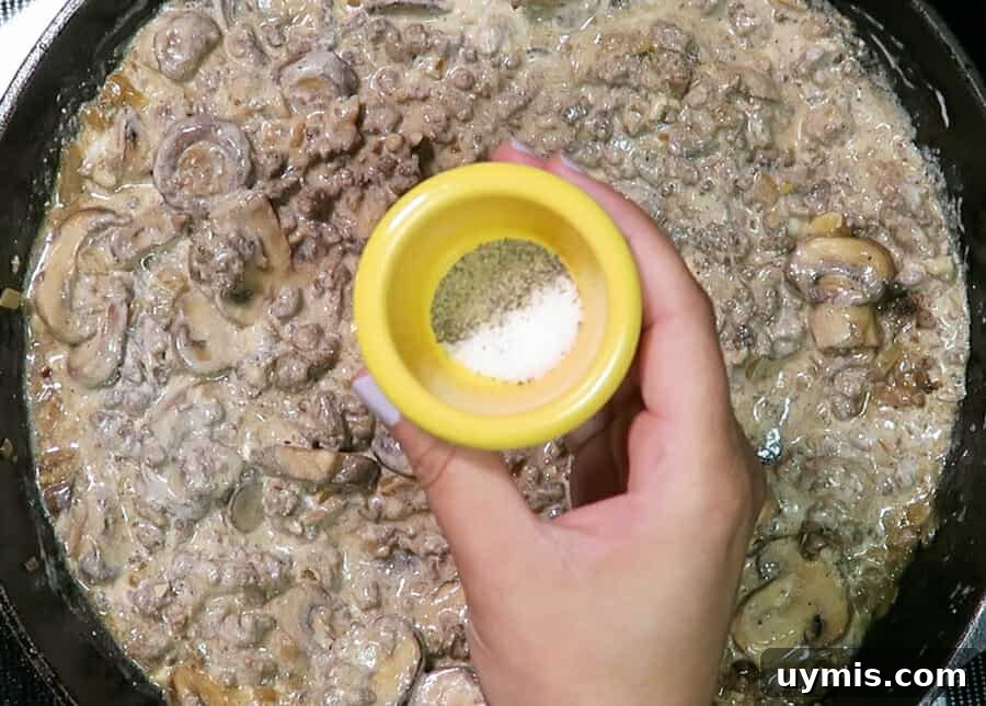Creamy Ground Beef Stroganoff with Greek Yogurt 13 Seasoning ground beef stroganoff to taste
