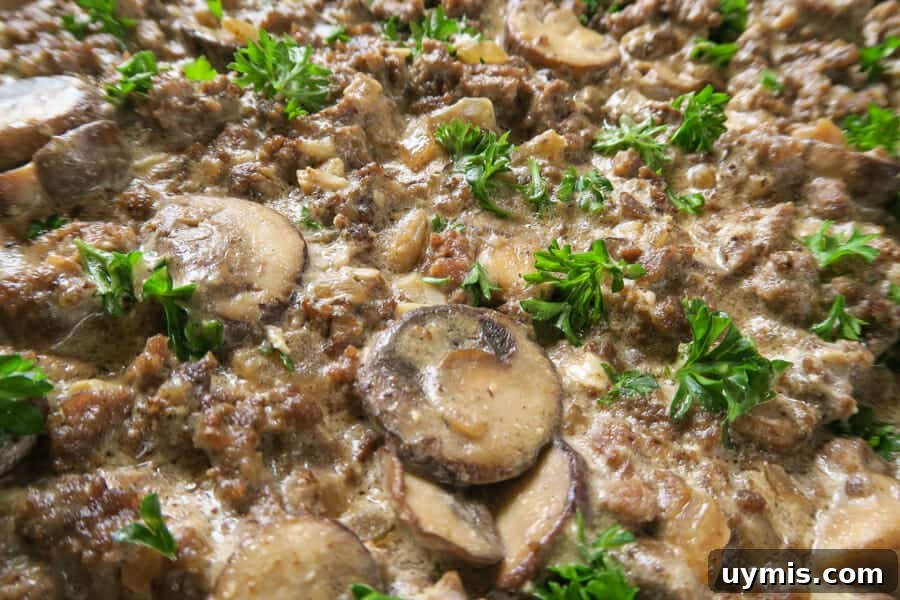 Creamy Ground Beef Stroganoff with Greek Yogurt 14 Ground beef stroganoff garnished with parsley