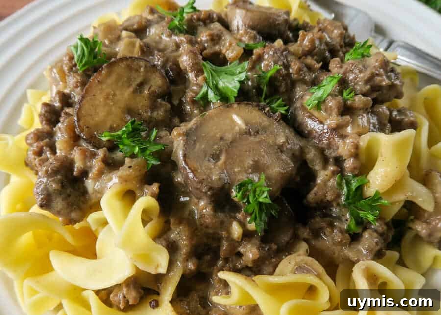 Creamy Ground Beef Stroganoff with Greek Yogurt 15 Ground beef stroganoff served over noodles
