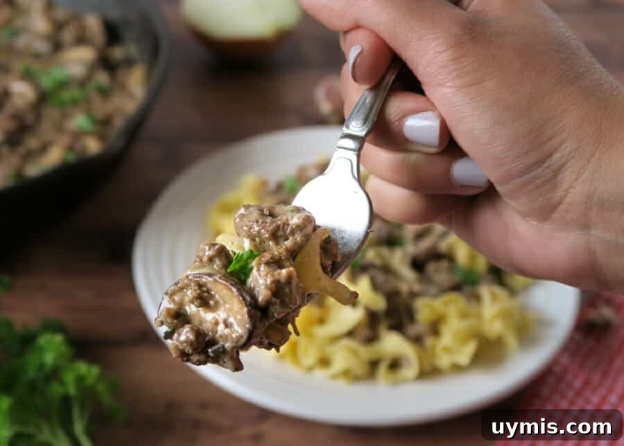 Creamy Ground Beef Stroganoff with Greek Yogurt 17 Ground Beef Stroganoff with Greek Yogurt close up