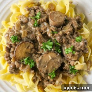 Creamy Ground Beef Stroganoff with Greek Yogurt 18 Ground Beef Stroganoff with Greek Yogurt