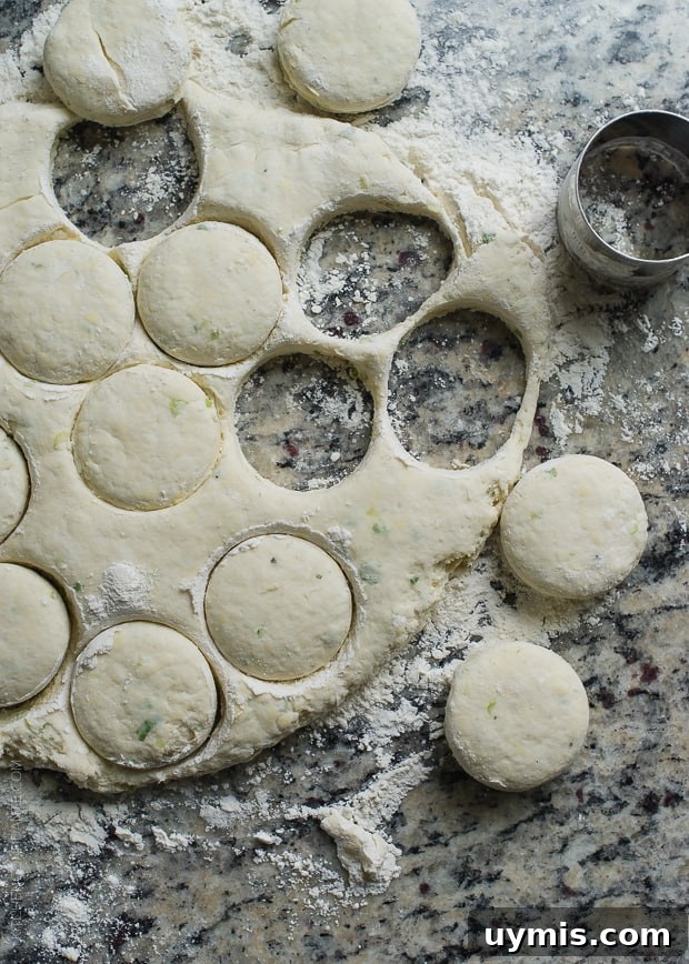 Boursin Garlic and Herb Buttermilk Biscuits Recipe 6 Boursin Garlic and Herb Buttermilk Biscuits cut out on a granite surface.