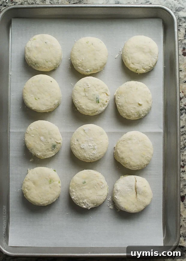 Boursin Garlic and Herb Buttermilk Biscuits Recipe 7 Ready-to-bake biscuits on a baking tray.