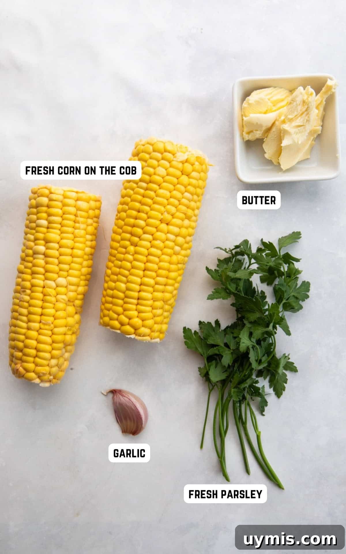 Air Fryer Corn on the Cob Recipe — Juicy and Crispy 3 Ingredients to make Air Fryer Corn on the Cob.