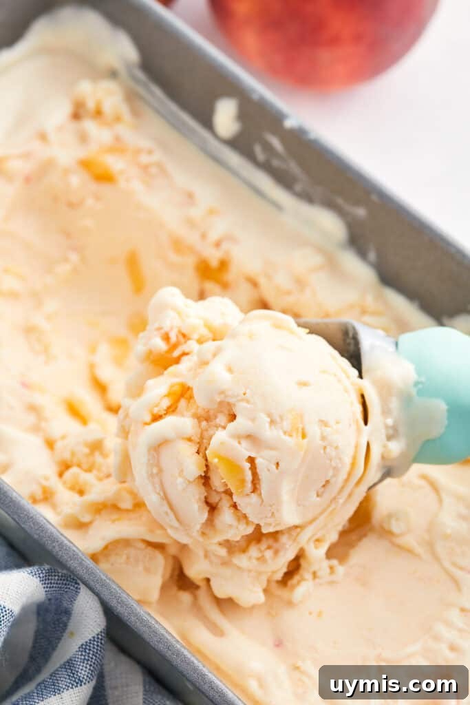 Homemade Peach Frozen Yogurt Recipe 8 An ice cream scoop with a blue handle scooping frozen peach yogurt from a metal loaf pan.