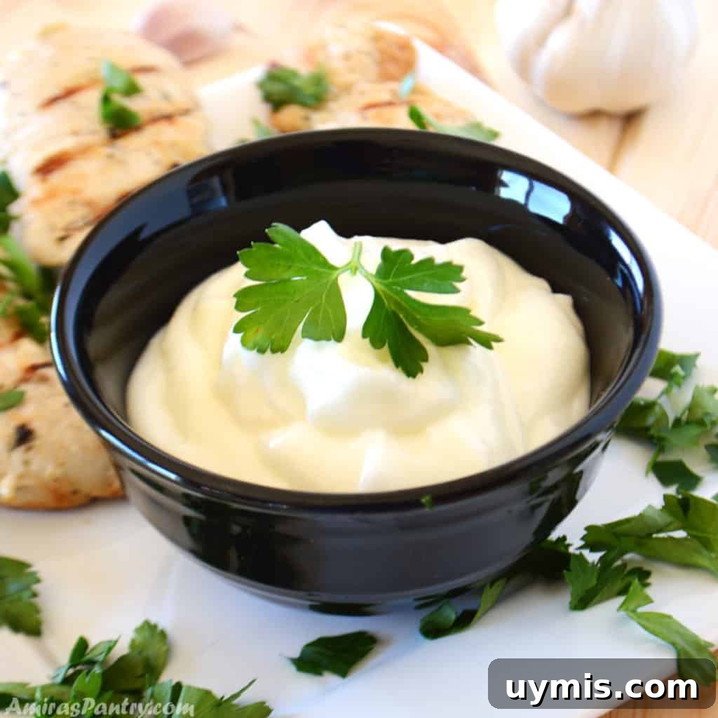 53-Recipe Meal Plan: Weekly Menus and Shopping List 14 Garlic dip in a small black bowl garnished with parsley