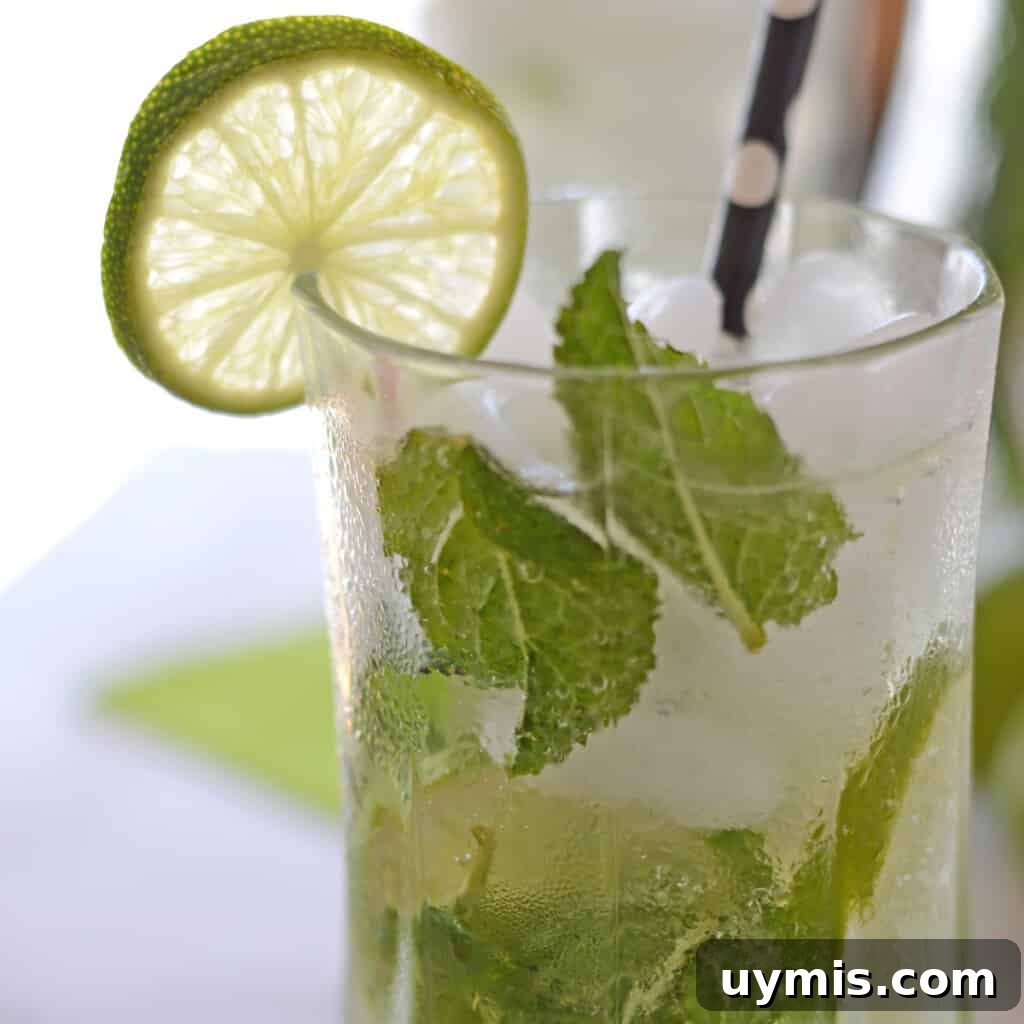 53-Recipe Meal Plan: Weekly Menus and Shopping List 2 A close up photo of a freshly made Mojito mocktail glass garnished with lime slice and fresh mint leaves.