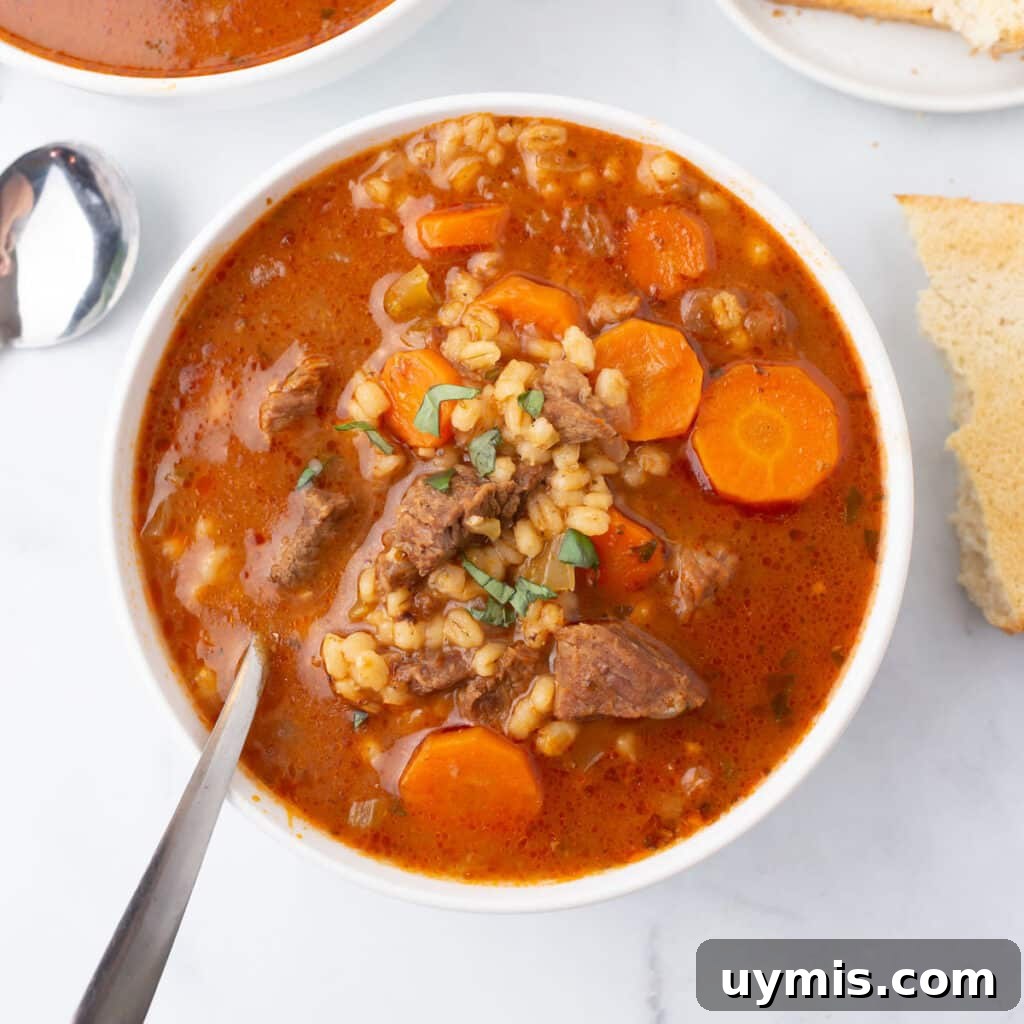 53-Recipe Meal Plan: Weekly Menus and Shopping List 5 A bird's eye view of a bowl of barley soup.