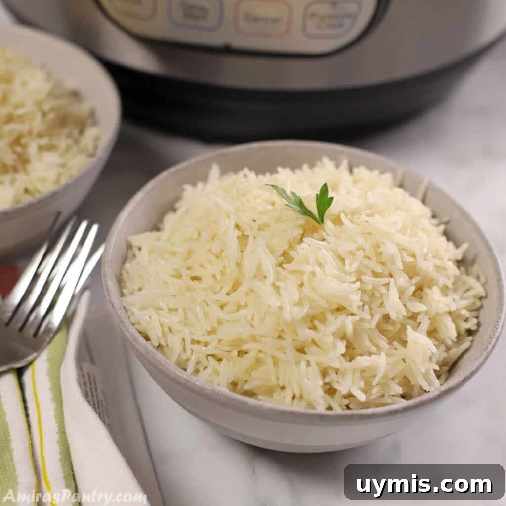 53-Recipe Meal Plan: Weekly Menus and Shopping List 9 A grey bowl of basmati rice with the instant pot in the back.