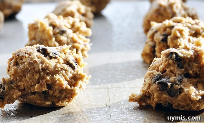 Crispy Oatmeal Cookies Recipe with Brown Sugar Crunch 3 img 2816 2