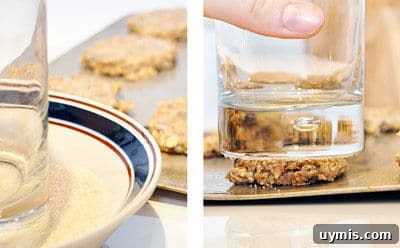 Crispy Oatmeal Cookies Recipe with Brown Sugar Crunch 4 img 2816 3