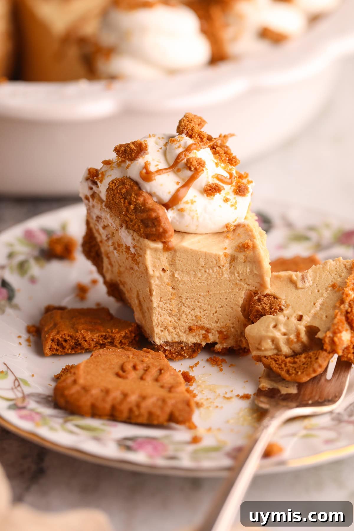 Creamy No-Bake Cookie Butter Pie Recipe 10 Slice of cookie butter pie on a dessert plate with a silver fork.