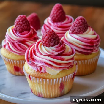 Raspberry Swirl Cupcakes with Creamy Frosting 2 Raspberry swirl cupcakes with vanilla frosting