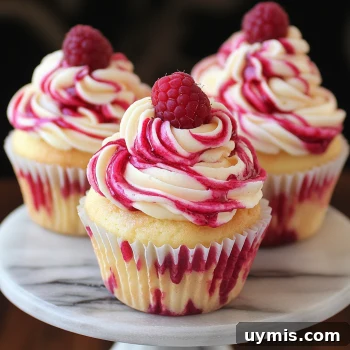 Raspberry Swirl Cupcakes with Creamy Frosting 3 Homemade raspberry swirl cupcakes