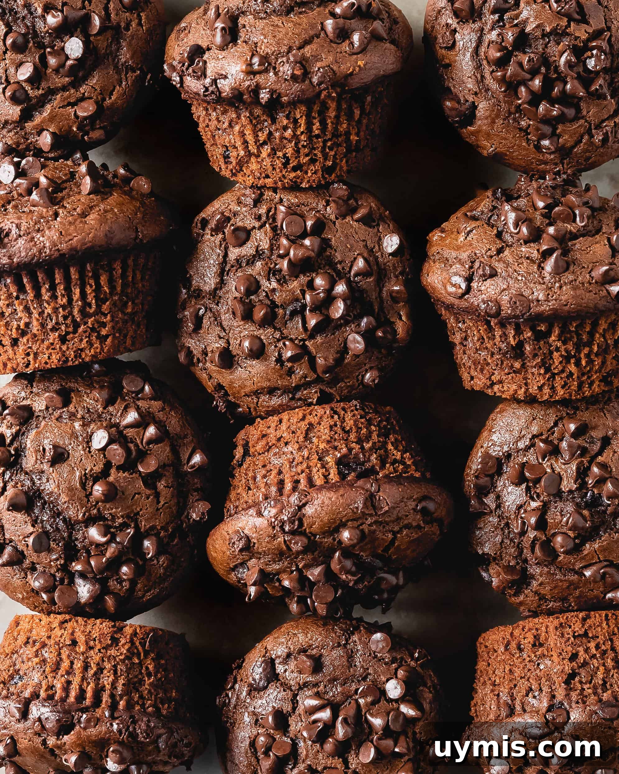 Double Chocolate Chip Muffins with Rich Cocoa Flavor 2 Double chocolate chip muffins are rich, soft, moist and tender bakery style chocolate muffins loaded with chocolate chips. These flavorful double chocolate muffins are perfect for an easy and decadent breakfast treat.