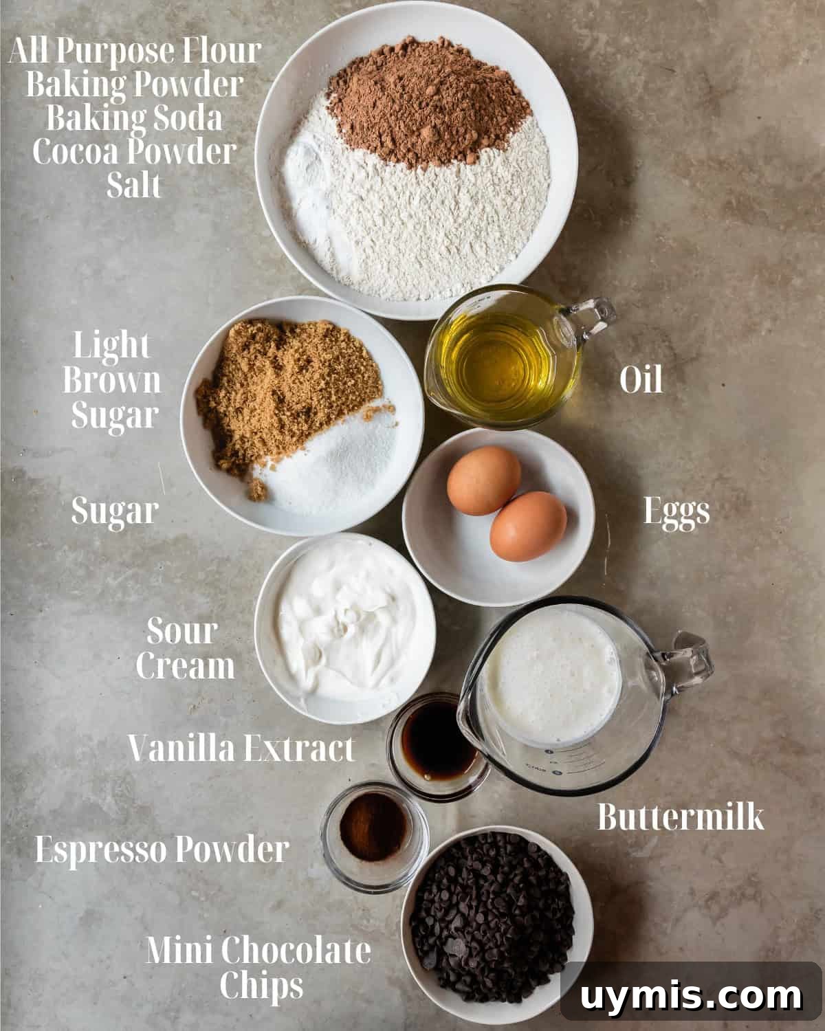Double Chocolate Chip Muffins with Rich Cocoa Flavor 3 Dry Ingredients: Gather all purpose flour, unsweetened cocoa powder, baking powder, salt, granulated sugar and light brown sugar.
Wet Ingredients: Gather eggs, oil, buttermilk, sour cream, espresso powder, vanilla, and chocolate chips.