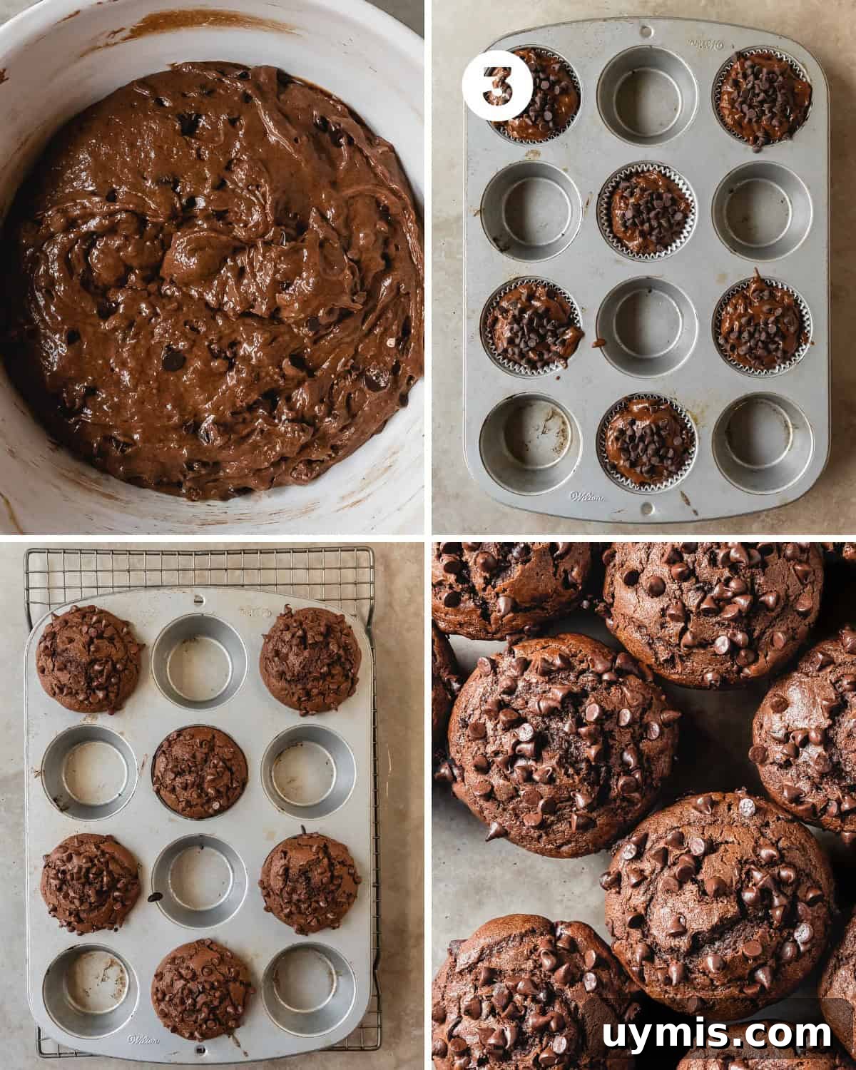 Double Chocolate Chip Muffins with Rich Cocoa Flavor 6 While the muffins rest, preheat the oven to 425 F (218 C). Line (2) 12 ct. muffin pans with cupcake liners. For bakery style muffins, alternate filled and unfilled muffin wells. Use a 3 tablespoon sized cookie scoop to scoop the fudgy muffin batter into each of the muffin liners, alternating every other cup. Top the muffins with more chocolate chips or even granulated sugar if you like. Bake the muffins at 425 F (218 C) for 5 minutes. Then reduce the oven temperature to 350 F (177 C) to bake the chocolate muffins for another 12 - 14 minutes (for a total baking time of 17 - 21 minutes). The muffins are done when a toothpick inserted into the center comes about with a few moist crumbs or when a finger pressed gently into the center of the muffins quickly bounces back. Cool the double chocolate muffins in the muffin pan for 5 - 10 minutes. Carefully remove the muffins to cool to room temperature and enjoy.