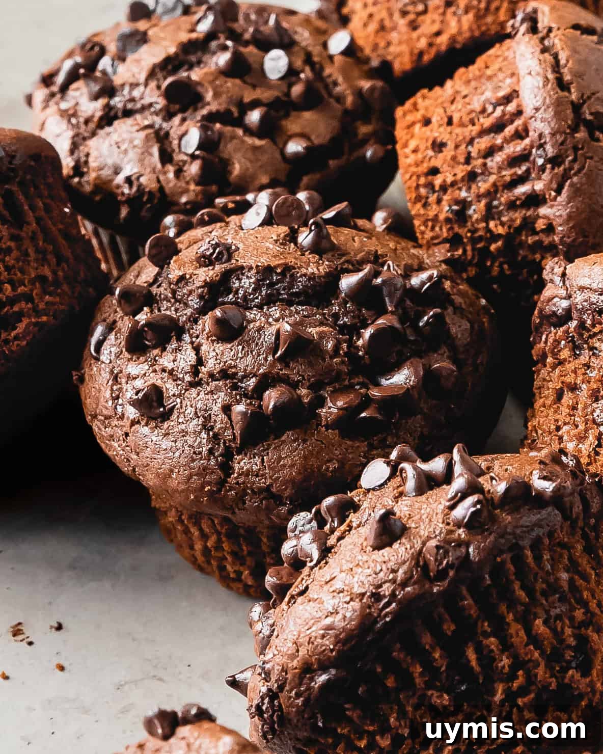 Double Chocolate Chip Muffins with Rich Cocoa Flavor 7 Double chocolate chip muffins are rich, soft, moist and tender bakery style chocolate muffins loaded with chocolate chips. These flavorful double chocolate muffins are perfect for an easy and decadent breakfast treat.