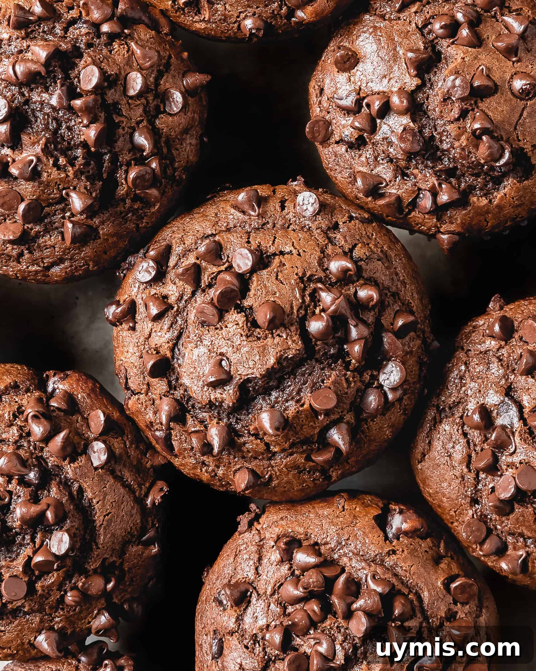 Double Chocolate Chip Muffins with Rich Cocoa Flavor 8 Double chocolate chip muffins are rich, soft, moist and tender bakery style chocolate muffins loaded with chocolate chips. These flavorful double chocolate muffins are perfect for an easy and decadent breakfast treat.